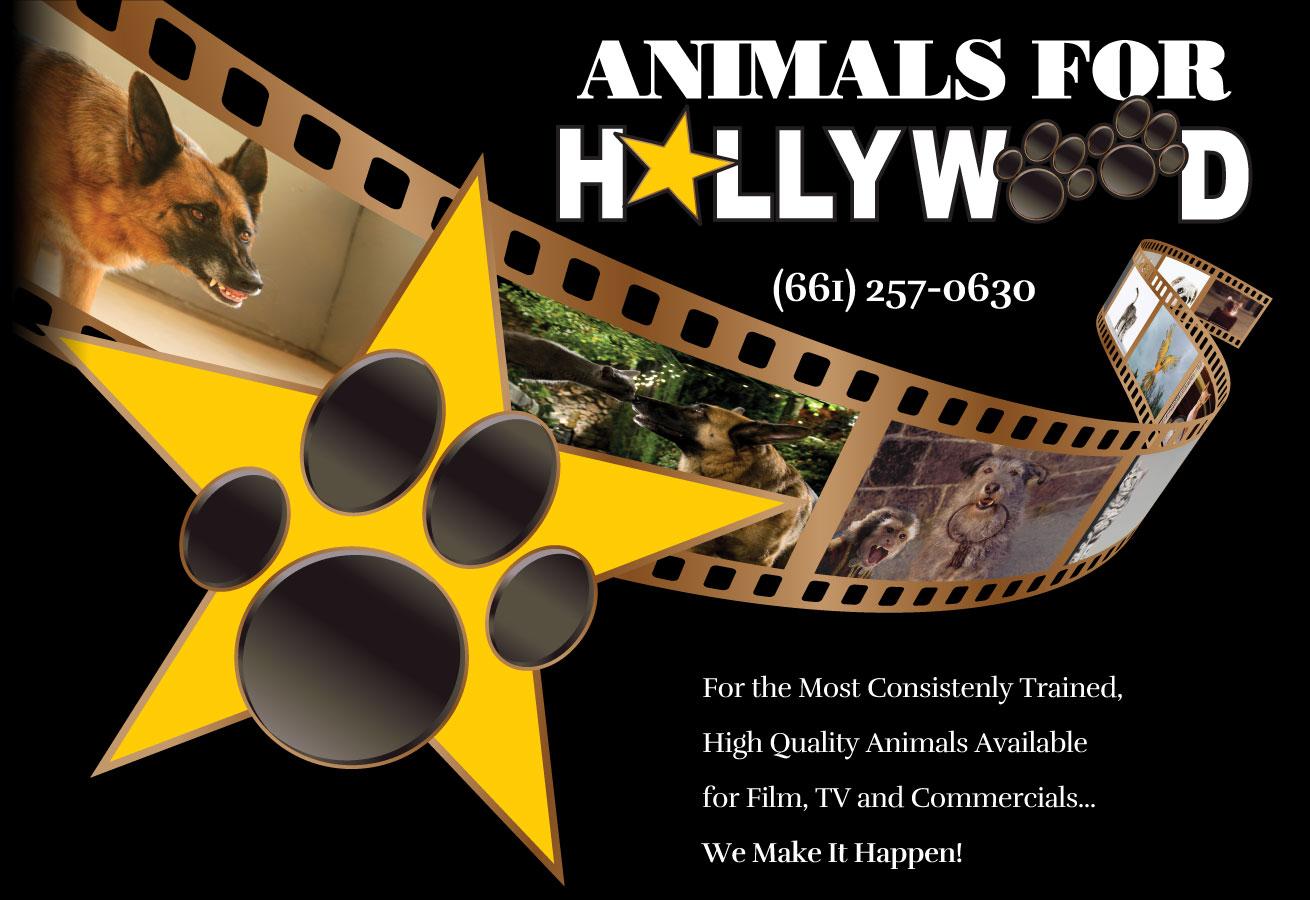 Animals For Hollywood