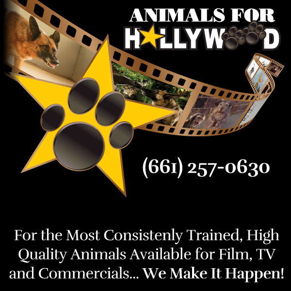 Animals for Hollywood banner