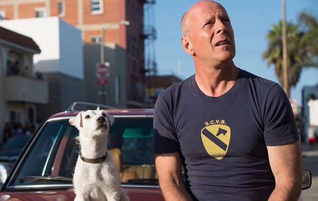 Bruce Willis once upon a time in venice dog