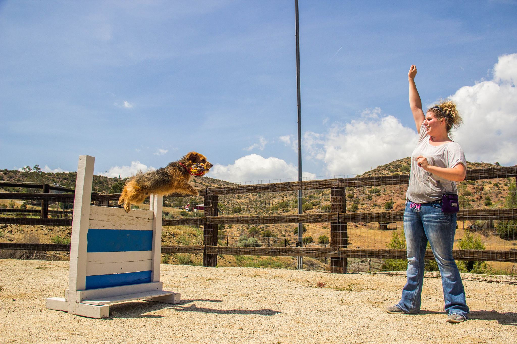 What It’s Like to be a Hollywood Animal Trainer